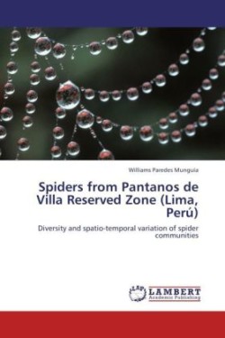 Spiders from Pantanos de Villa Reserved Zone (Lima, Peru)