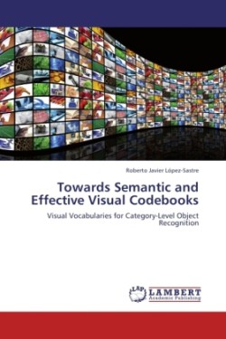 Towards Semantic and Effective Visual Codebooks