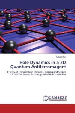 Hole Dynamics in a 2D Quantum Antiferromagnet