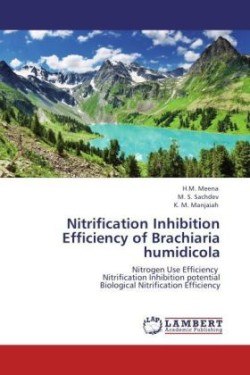 Nitrification Inhibition Efficiency of Brachiaria humidicola