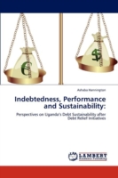 Indebtedness, Performance and Sustainability