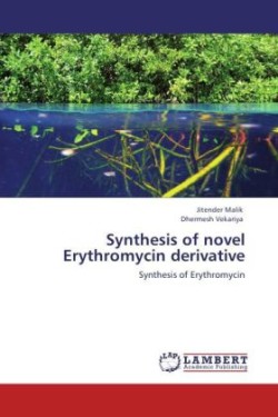 Synthesis of novel Erythromycin derivative