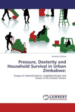 Pressure, Dexterity and Household Survival in Urban Zimbabwe