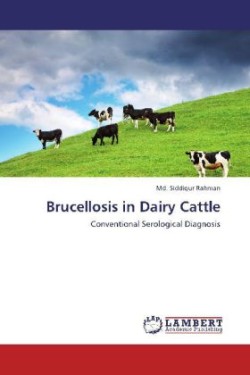 Brucellosis in Dairy Cattle