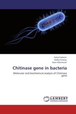 Chitinase gene in bacteria