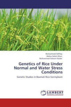 Genetics of Rice Under Normal and Water Stress Conditions