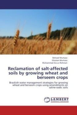 Reclamation of Salt-Affected Soils by Growing Wheat and Berseem Crops