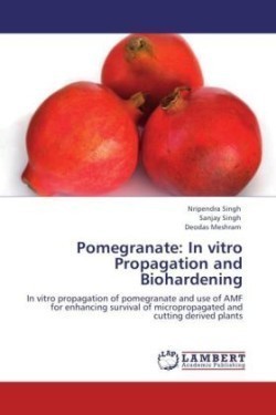 Pomegranate