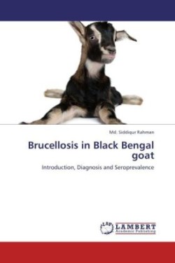 Brucellosis in Black Bengal Goat