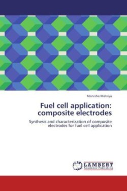 Fuel Cell Application