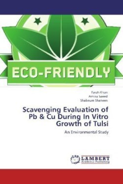 Scavenging Evaluation of Pb & Cu During In Vitro Growth of Tulsi