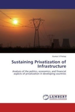 Sustaining Privatization of Infrastructure