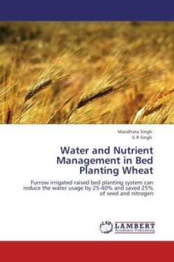 Water and Nutrient Management in Bed Planting Wheat