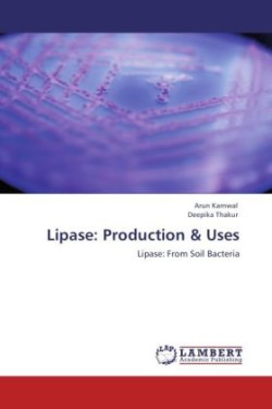 Lipase