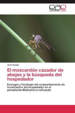 moscardón cazador de abejas y la búsqueda del hospedador