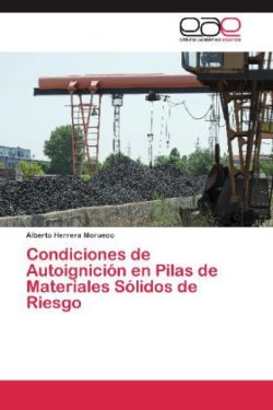 Condiciones de Autoignicion En Pilas de Materiales Solidos de Riesgo