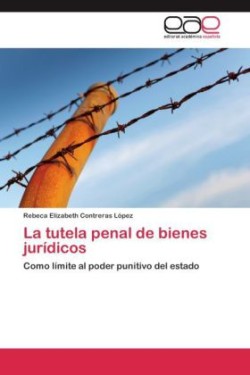 tutela penal de bienes jurídicos