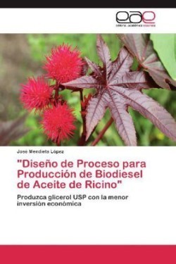 "Diseño de Proceso para Producción de Biodiesel de Aceite de Ricino"