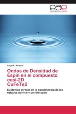 Ondas de Densidad de Espín en el compuesto casi-2D CuFeTe2