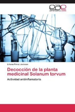 Decocción de la planta medicinal Solanum torvum