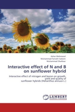 Interactive effect of N and B on sunflower hybrid