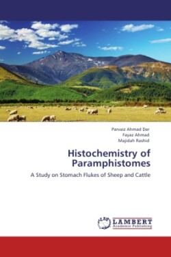 Histochemistry of Paramphistomes