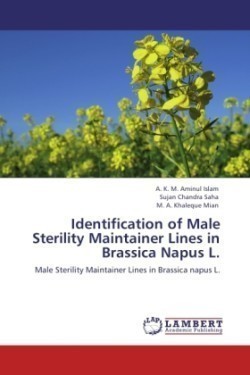 Identification of Male Sterility Maintainer Lines in Brassica Napus L.