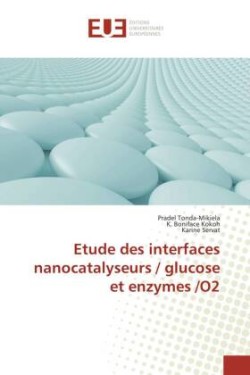 Etude des interfaces nanocatalyseurs / glucose et enzymes /O2