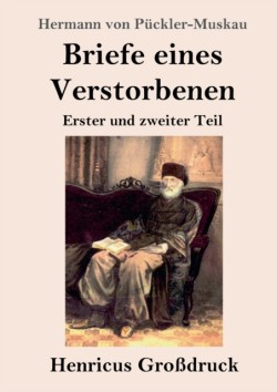 Briefe eines Verstorbenen (Großdruck)