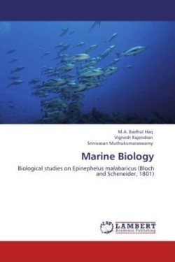 Marine Biology