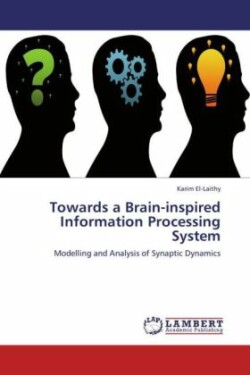 Towards a Brain-inspired Information Processing System