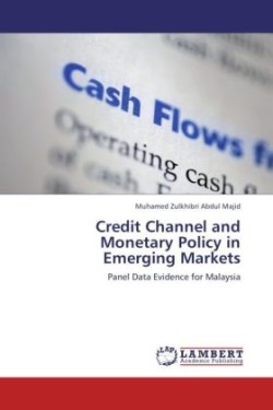 Credit Channel and Monetary Policy in Emerging Markets