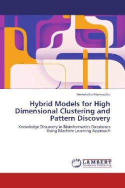 Hybrid Models for High Dimensional Clustering and Pattern Discovery