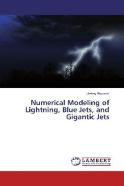 Numerical Modeling of Lightning, Blue Jets, and Gigantic Jets