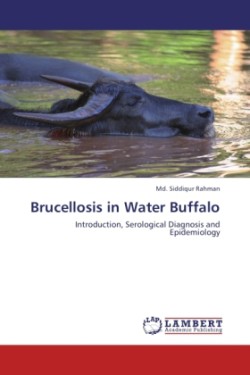 Brucellosis in Water Buffalo