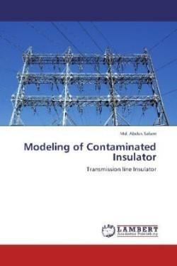 Modeling of Contaminated Insulator