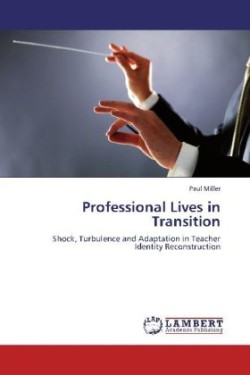 Professional Lives in Transition