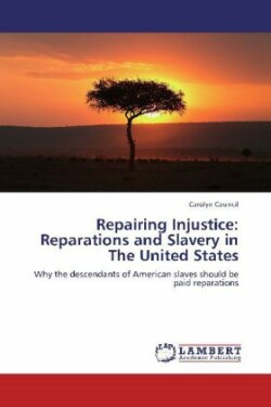 Repairing Injustice