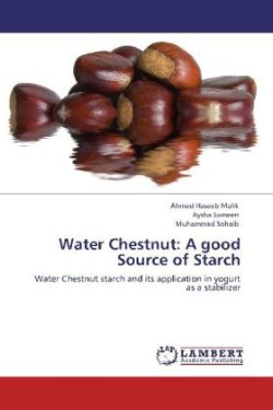 Water Chestnut