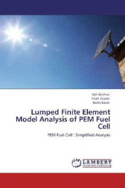 Lumped Finite Element Model Analysis of PEM Fuel Cell