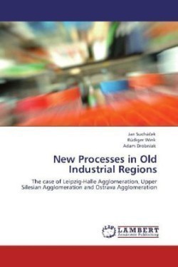 New Processes in Old Industrial Regions