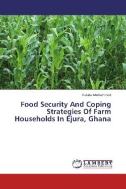 Food Security And Coping Strategies Of Farm Households In Ejura, Ghana