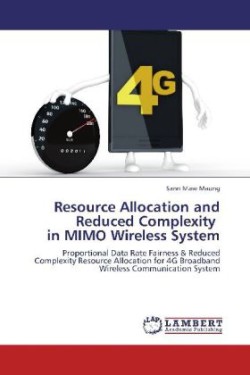 Resource Allocation and Reduced Complexity in Mimo Wireless System