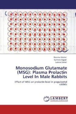 Monosodium Glutamate (MSG)