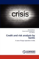 Credit and Risk Analysis by Banks