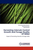 Harvesting Intervals Control Growth and Forage Quality of Millet