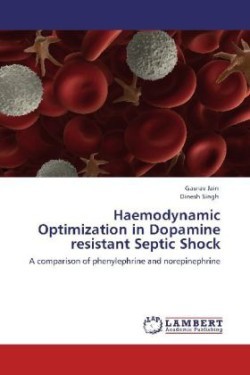 Haemodynamic Optimization in Dopamine Resistant Septic Shock