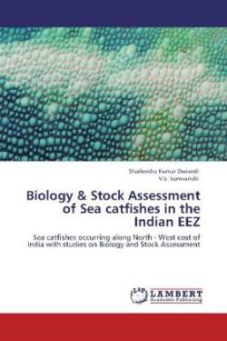 Biology & Stock Assessment of Sea catfishes in the Indian EEZ