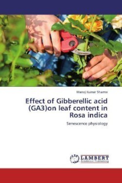 Effect of Gibberellic acid (GA3)on leaf content in Rosa indica