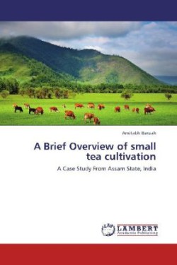 Brief Overview of Small Tea Cultivation